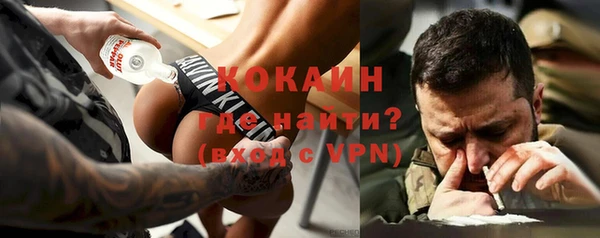 дживик Осинники
