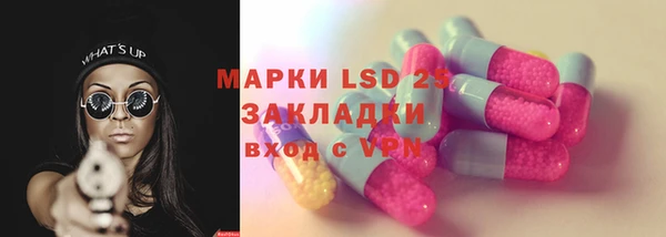прущие грибы Балахна