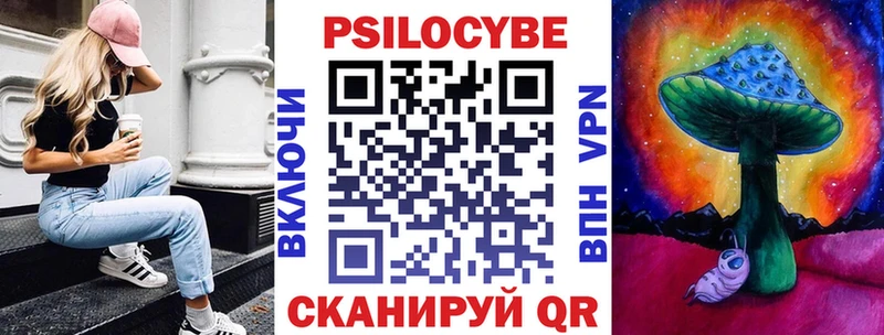 Псилоцибиновые грибы Cubensis  Суворов 